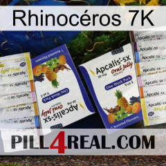 Rhinocéros 7K 12